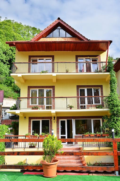 Pensiunea Deea Băile Herculane Exterior photo